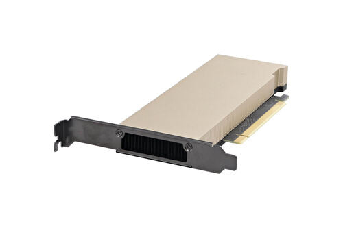 Servers>Server Options>Video Cards - Dell - NG3PY - Refurbished
